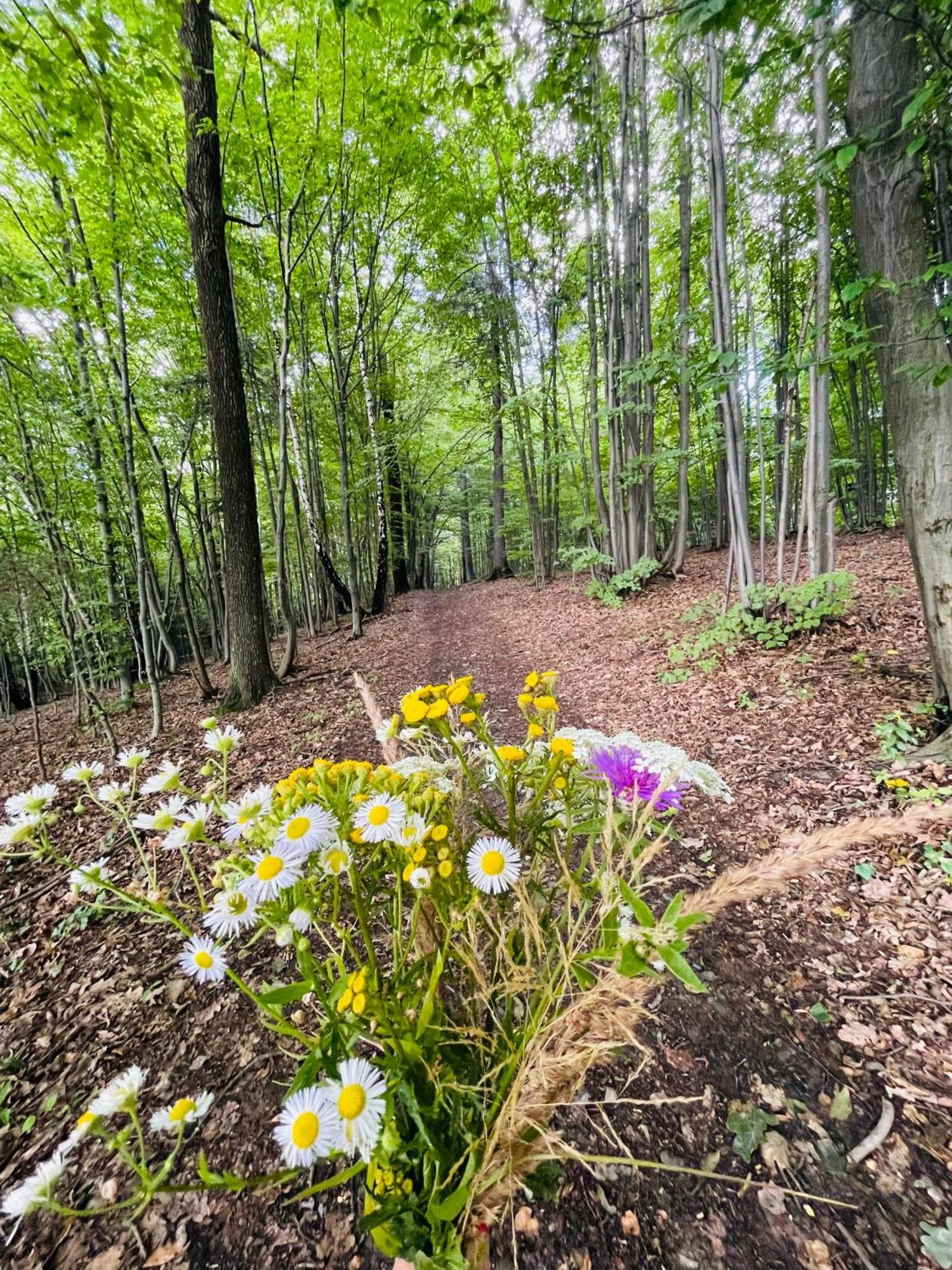 Wioska Jasia I Malgosi Izdebnik Extérieur photo