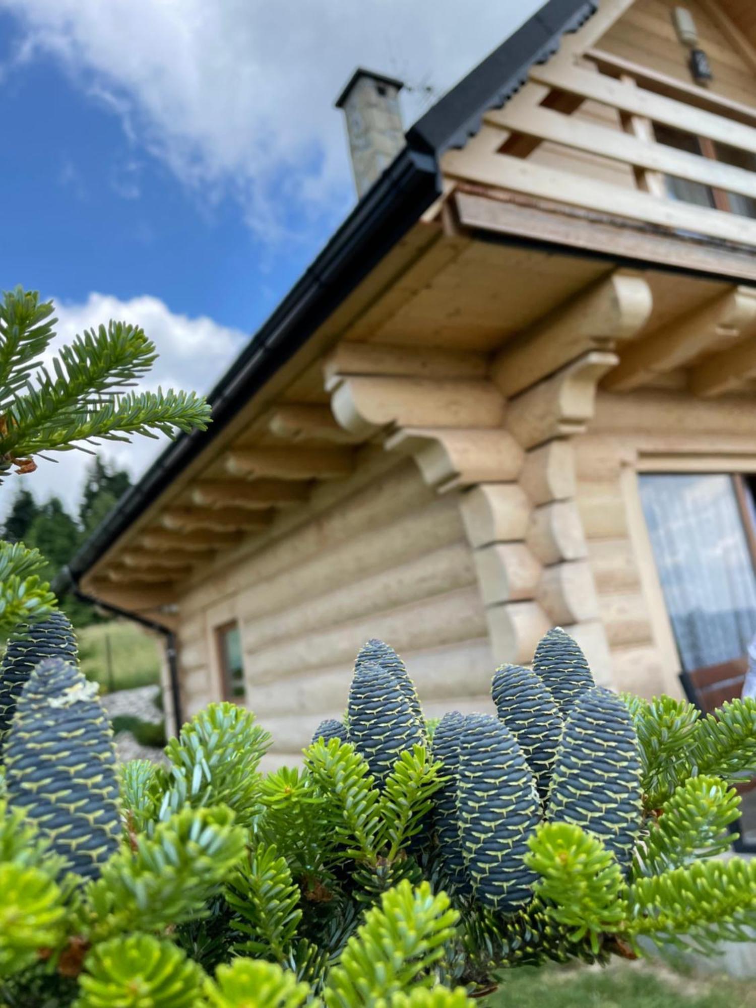 Wioska Jasia I Malgosi Izdebnik Extérieur photo