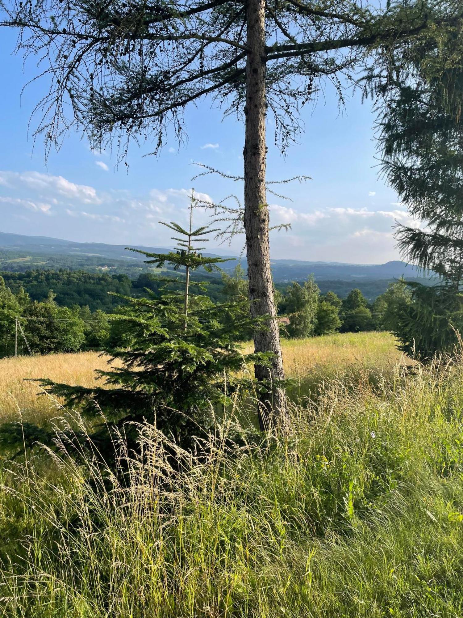 Wioska Jasia I Malgosi Izdebnik Extérieur photo